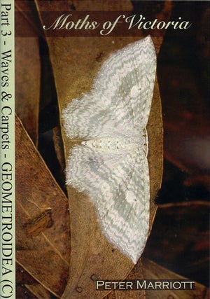 Stock ID 32931 Moths of Victoria: part three, Waves and Carpets and allies Geometroidea (C)....