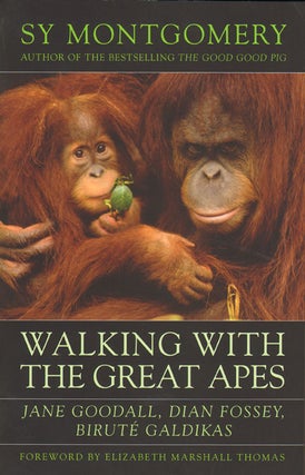 Stock ID 32969 Walking with the great apes. Sy Montgomery