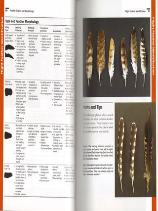 Bird feathers: a guide to North American species.