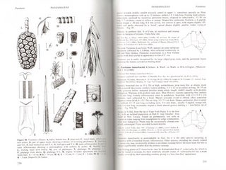 Flora of Australia, volume 39. Alismatales to Arales.