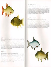 365 Fish.