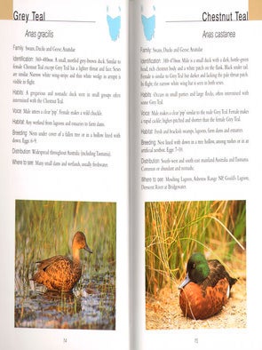 Field guide to Tasmanian birds.