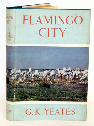 Stock ID 33506 Flamingo city. G. K. Yeates
