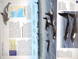 Whales and dolphins of the European Atlantic, the Bay of Biscay, English Channel, Celtic Sea and coastal SW Ireland.