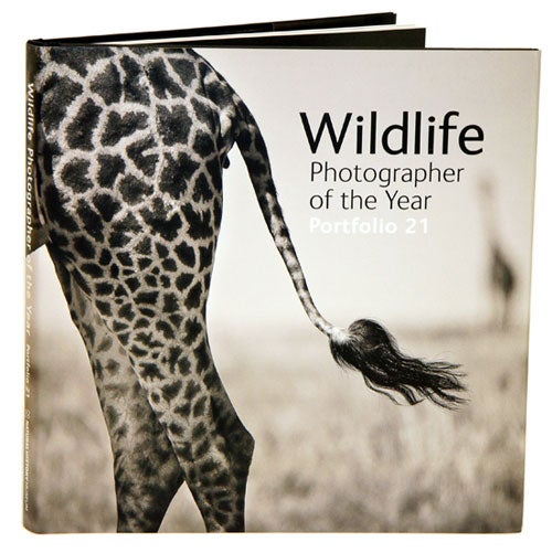 Stock ID 33567 Wildlife photographer of the year: portfolio 21. Rosamund Kidman Cox.