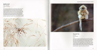 Wildlife photographer of the year: portfolio 21.