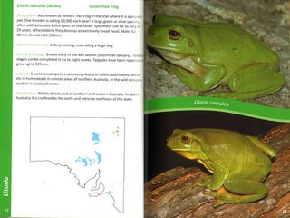 Frogs of South Australia.