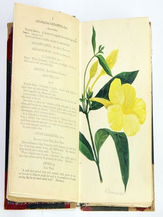 Economic Plants: an index to economic products of the vegetable kingdom in Jamaica.