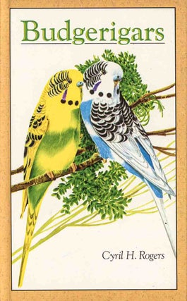 Stock ID 33677 Budgerigars. Cyril H. Rogers