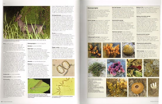 お気に入り】 シンガポールの生態系図鑑Singapore Biodiversity 洋書 