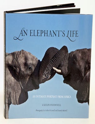 Stock ID 33709 An elephant's life: an intimate portrait from Africa. Caitlin O'Connell, Timothy Rodwell.