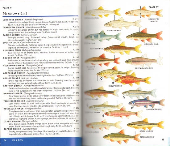 Peterson field guide to freshwater fishes of North America, north of