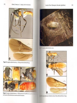 Advances in the systematics of fossil and modern insects: honouring Alexandr Rasnitsyn.