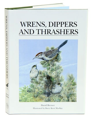Stock ID 33771 Wrens, dippers and thrashers. Dave Brewer, Barry MacKay