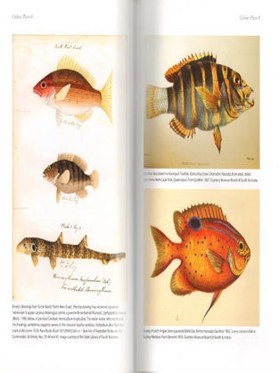 Discovery of Australia's fishes: a history of Australian ichthyology to 1930.
