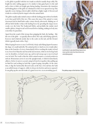Gliding mammals of the world.