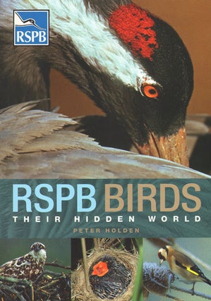 Stock ID 33916 RSPB birds: their hidden world. Peter Holden