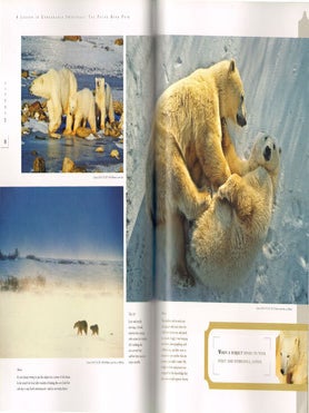 Wildlife photography: stories from the field.