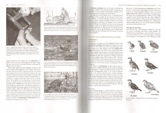 Wildlife techniques manual, volume one: research, volume two: management by  Nova J. Silvy on Andrew Isles Natural History Books