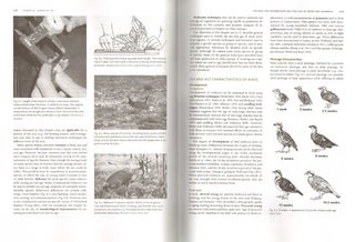 Wildlife techniques manual, volume one: research, volume two: management.