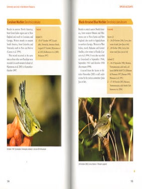 Extremely rare birds in the Western Palearctic.