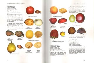 The pictorial guide to seeds of the world: an introduction to the collection, cleaning and storage of seeds.