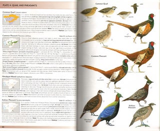 Birds of Central Asia: Kazakhstan, Turkmenistan, Uzbekistan, Kyrgyzstan, Tajikistan, Afghanistan.