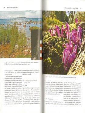 Plants at the margin: ecological limits and climate change.