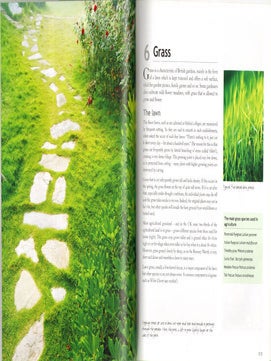 Gardens, their hidden life: unnoticed plants and unseen animals.