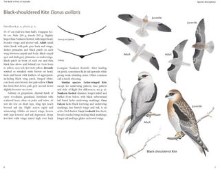 The birds of prey of Australia: a field guide.