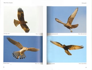 The birds of prey of Australia: a field guide.