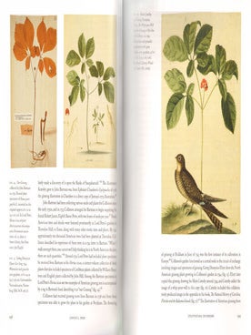 Knowing nature: art and science in Philadelphia, 1740-1840.