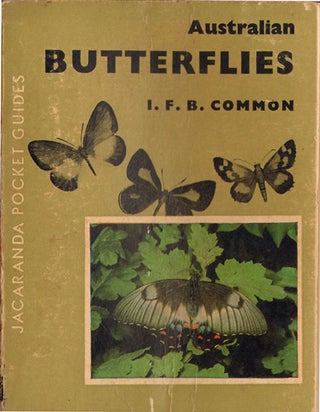 Stock ID 34130 Australian butterflies. I. F. B. Common