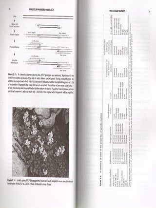 Molecular ecology.