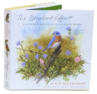 Stock ID 34207 Bluebird effect: uncommon bonds with common birds. Julie Zickefoose