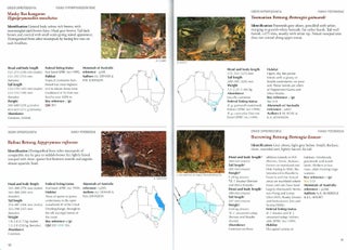 Field companion to the mammals of Australia.