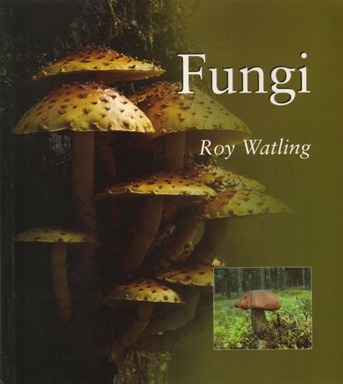 Stock ID 34336 Fungi. Roy Watling.