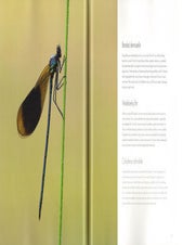The image of nature: how to catch light and life.