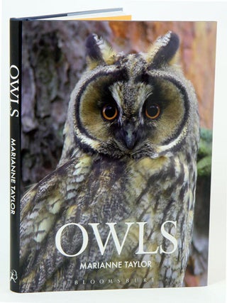 Stock ID 34444 Owls. Marianne Taylor