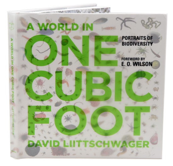 Stock ID 34463 A world in one cubic foot: portraits of biodiversity. David Liittschwager.