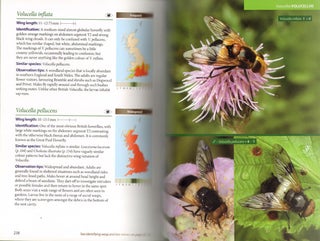 Britain's hoverflies: an introduction to the hoverflies of Britain and Ireland.