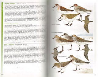 The field guide to the birds of Australia.