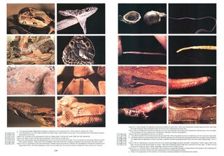 Biomedical and surgical aspects of captive reptile husbandry.
