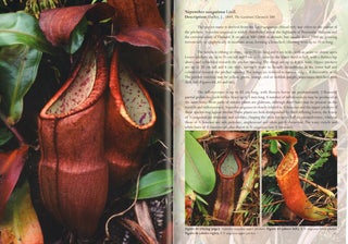 Field guide to the pitcher plants of Peninsular Malaysia and Indochina.