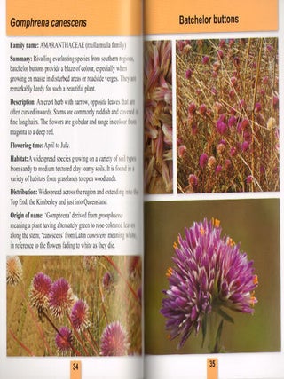 Common plants, Victoria River District and Northern Barkly: the Territory's Savannah Way.