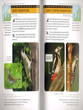 Identification guide to birds of Britain and Northern Europe.