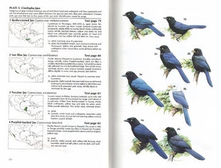 Crows and jays: a guide to the crows, jays and magpies of the world.