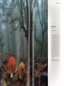 Wildlife Photographer of the Year Portfolio 22.