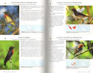 A photographic guide to the birds of Indonesia.