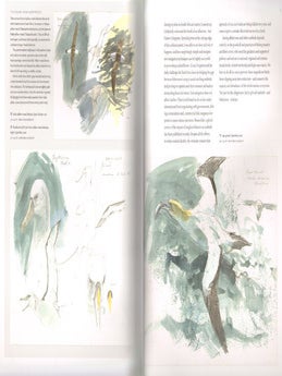 Troubled waters: trailing the albatross an artist's journey.